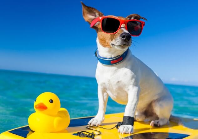 BYshop����ײ�����ͼƬ��������